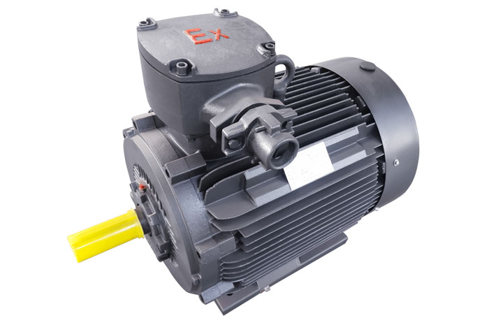 YBX5系列隔爆型三相異步電動機(jī)
